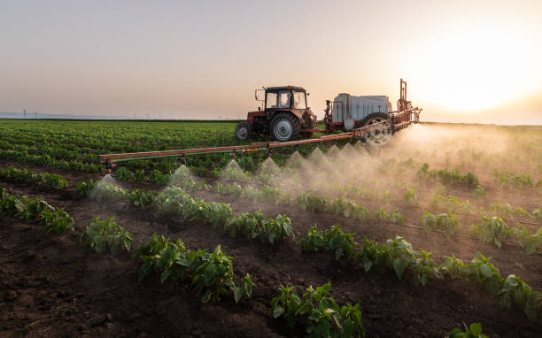 Best Pest Control for Restaurants  in Bethel Acres, OK