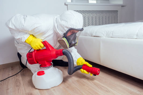 Best Ant Control Services  in Bethel Acres, OK