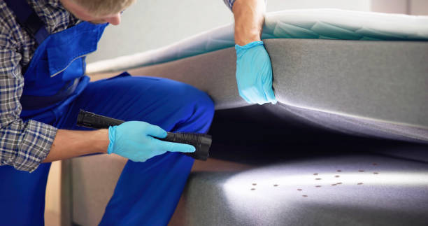 Pest Control for Restaurants in Bethel Acres, OK