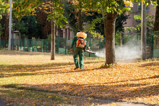 Best Termite Control Services  in Bethel Acres, OK